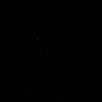 Luz delantera para bicicleta