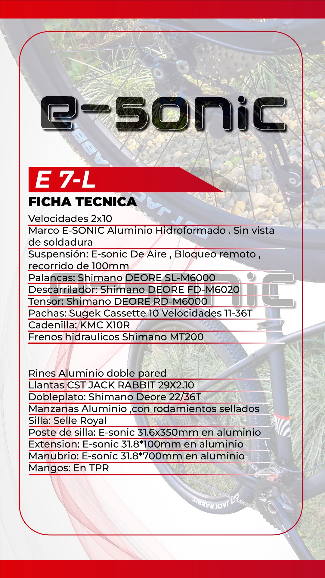 Bicicleta E-SONIC RIN 29 2x10 velocidades