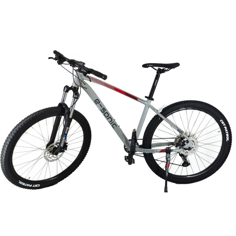 Bicicleta E-SONIC RIN 29 GREY