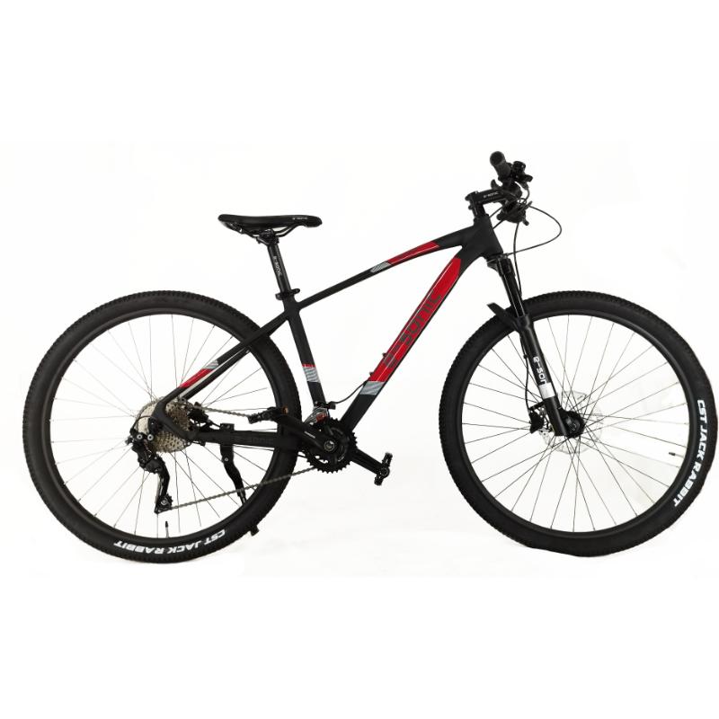 Bicicleta E-SONIC RIN 29 2x10 velocidades