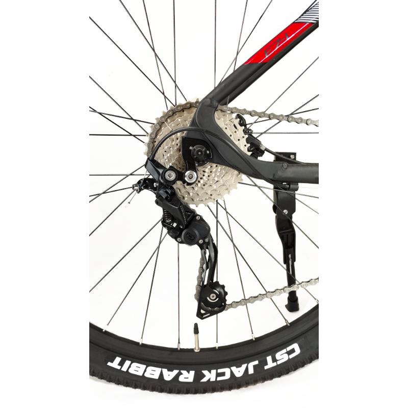 Bicicleta E-SONIC RIN 29 2x10 velocidades