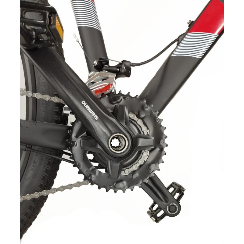 Bicicleta E-SONIC RIN 29 2x10 velocidades