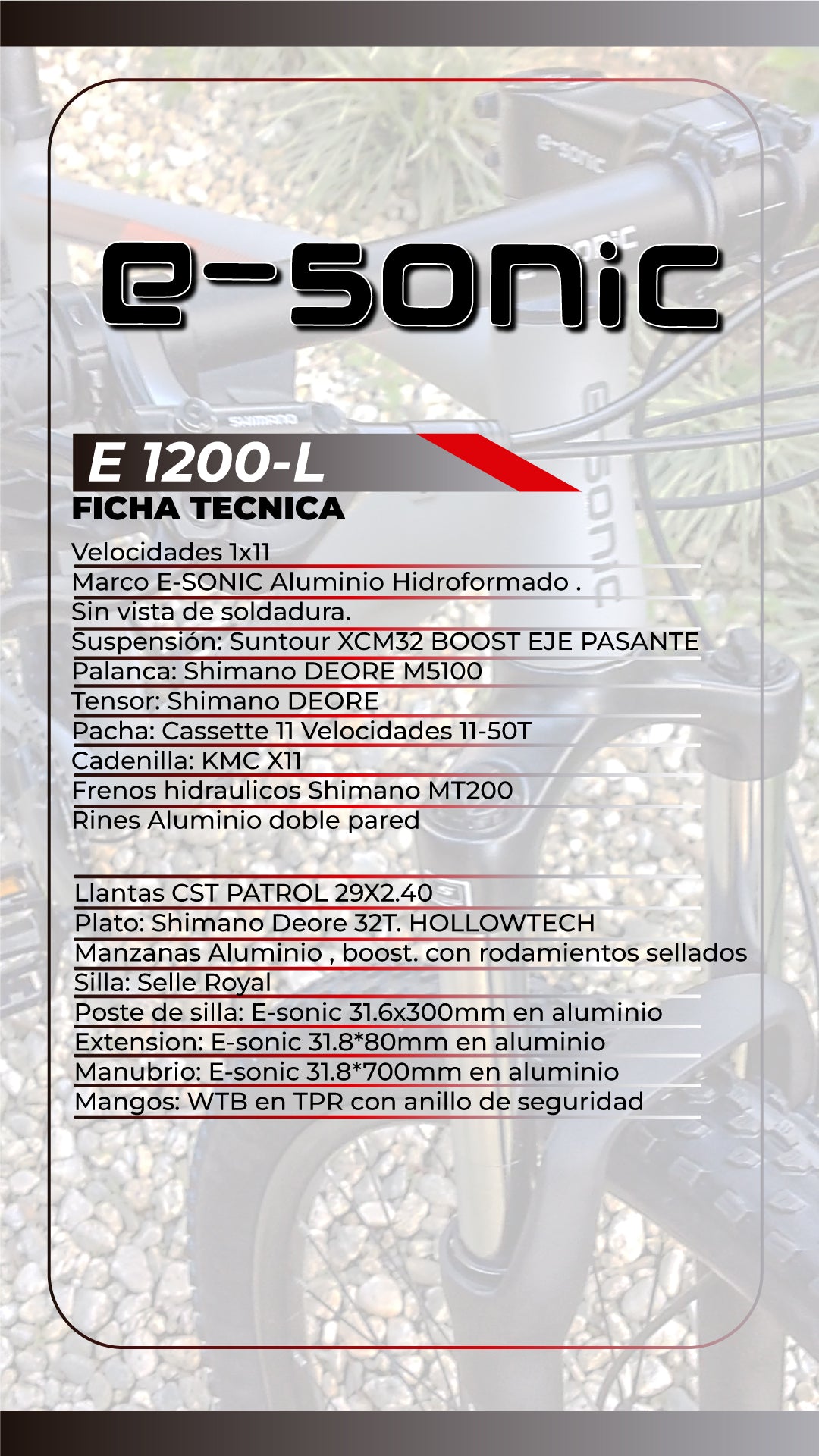 Bicicleta  E-SONIC RIN 29  GREY