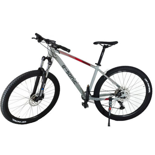 Bicicleta  E-SONIC RIN 29  GREY